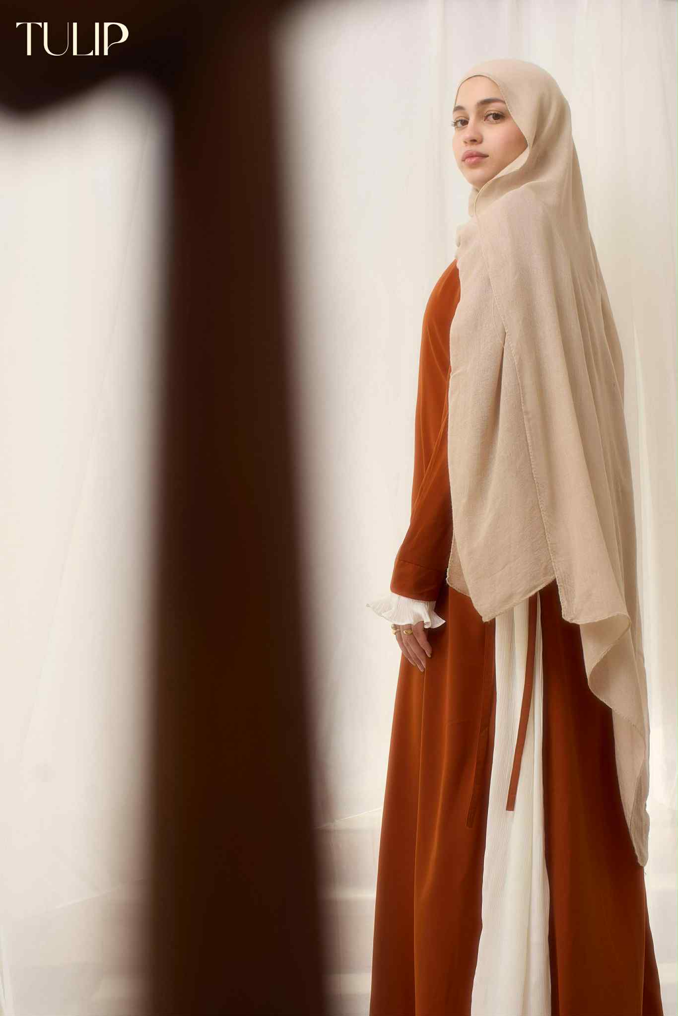 ASIYAH Dress in Camal